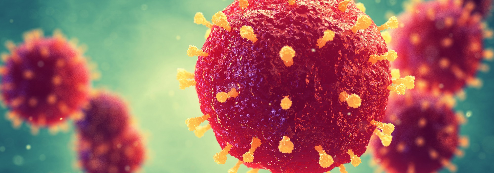 Covid 19 | Abant Palace Hotel