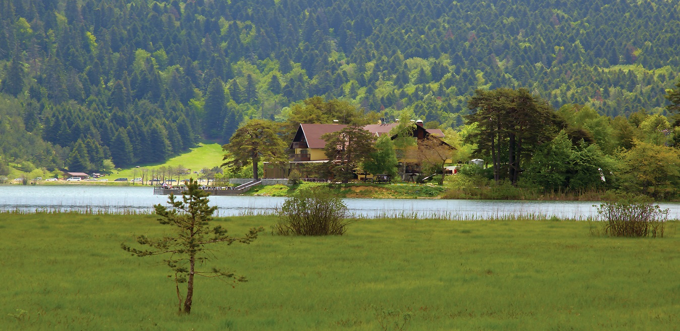 Kariyer | Taksim Otelcilik