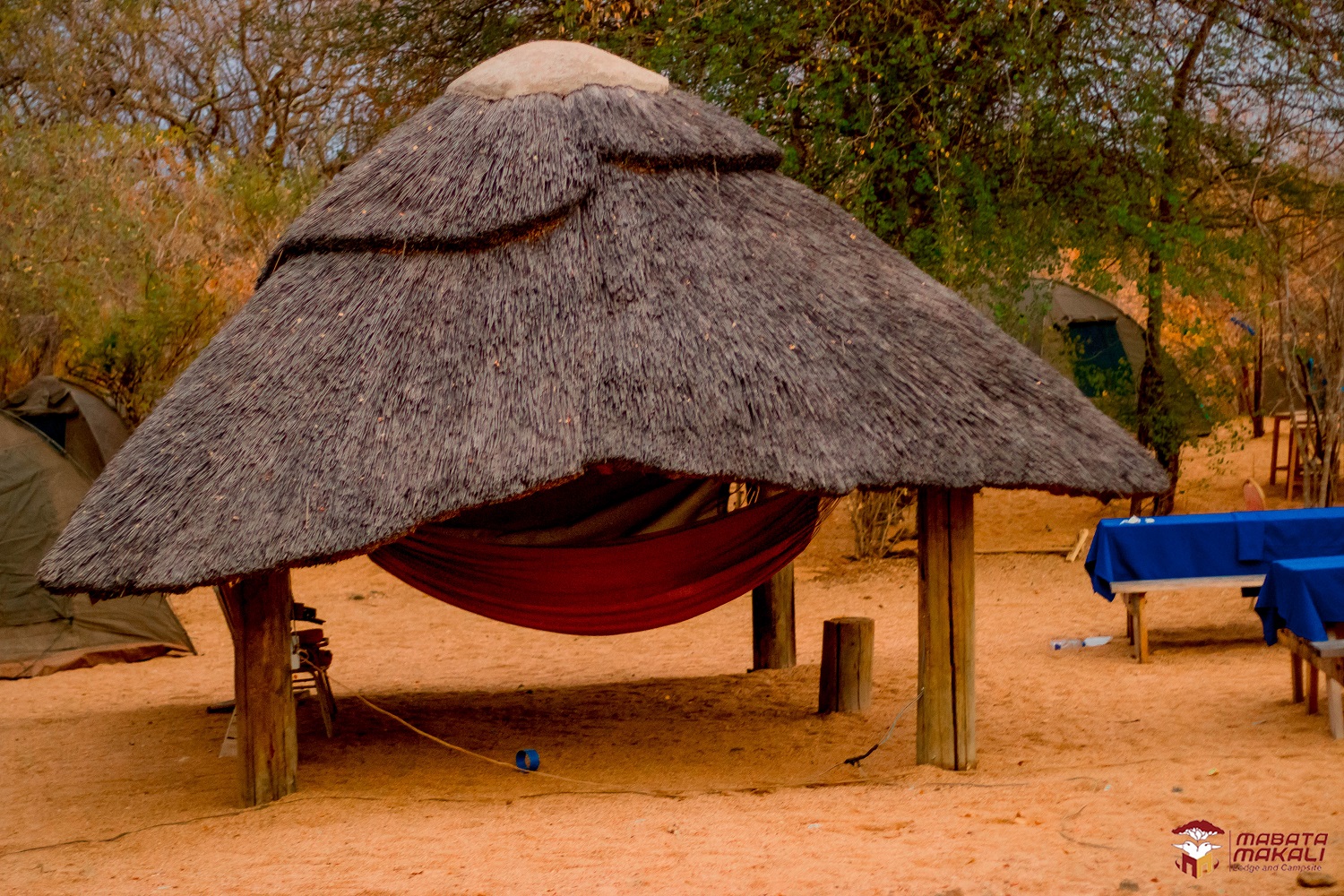 点评 | Mabata Makali 点评 | Mabata Makali