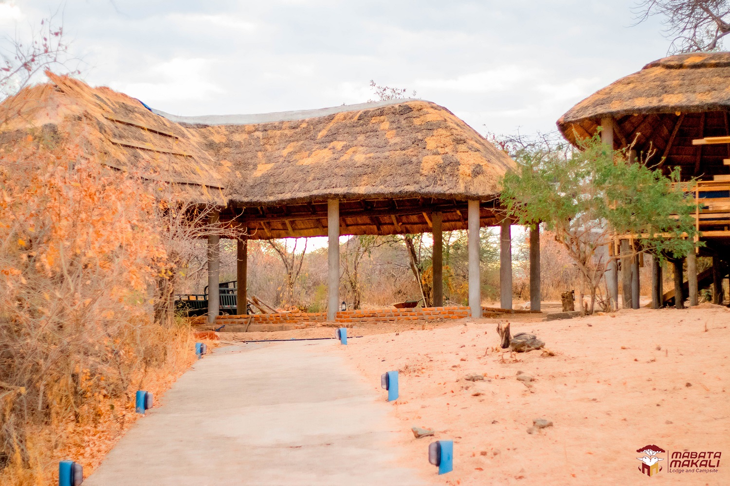 点评 | Mabata Makali 点评 | Mabata Makali