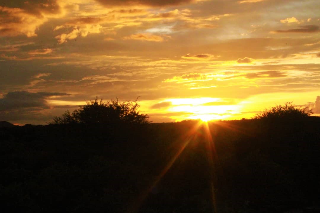 点评 | Mabata Makali 点评 | Mabata Makali