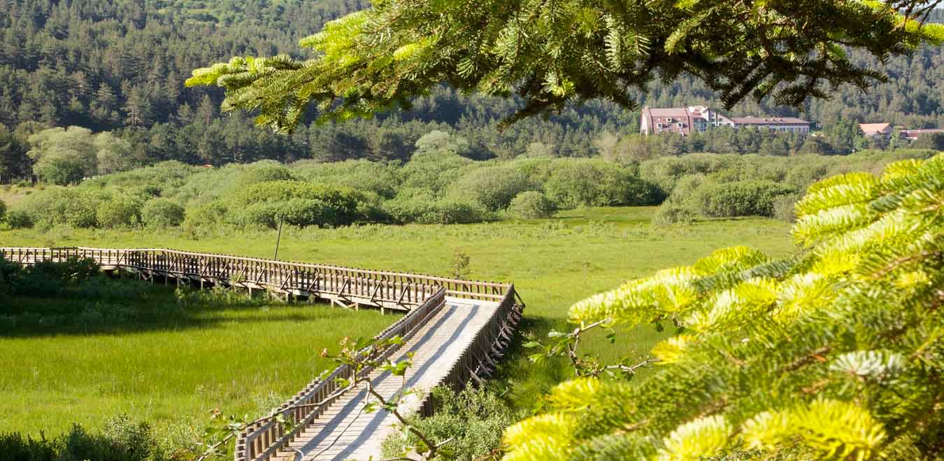 Gallery | Abant Palace Hotel