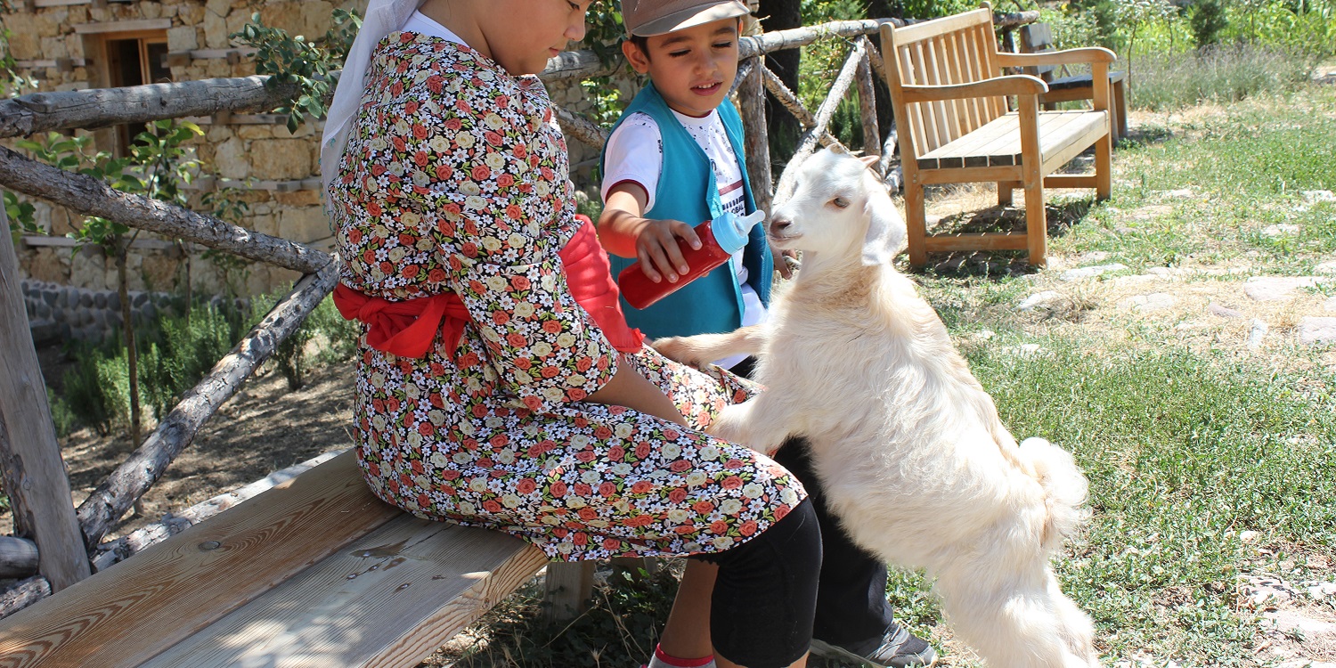 GALERİ | Yaşayan Köy Açık Hava Müzesi 