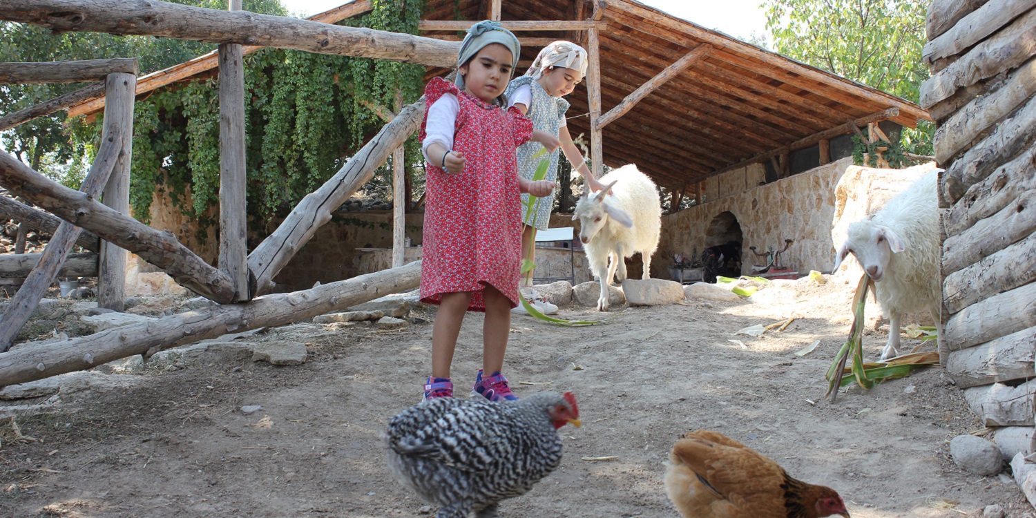 Köyde Bir Gün | Yaşayan Köy Açık Hava Müzesi 