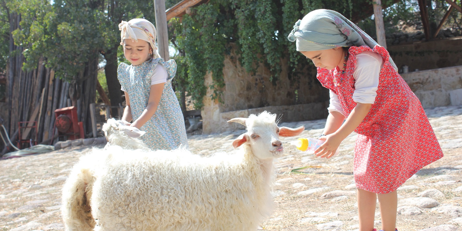 Köyde Bir Gün | Yaşayan Köy Açık Hava Müzesi 