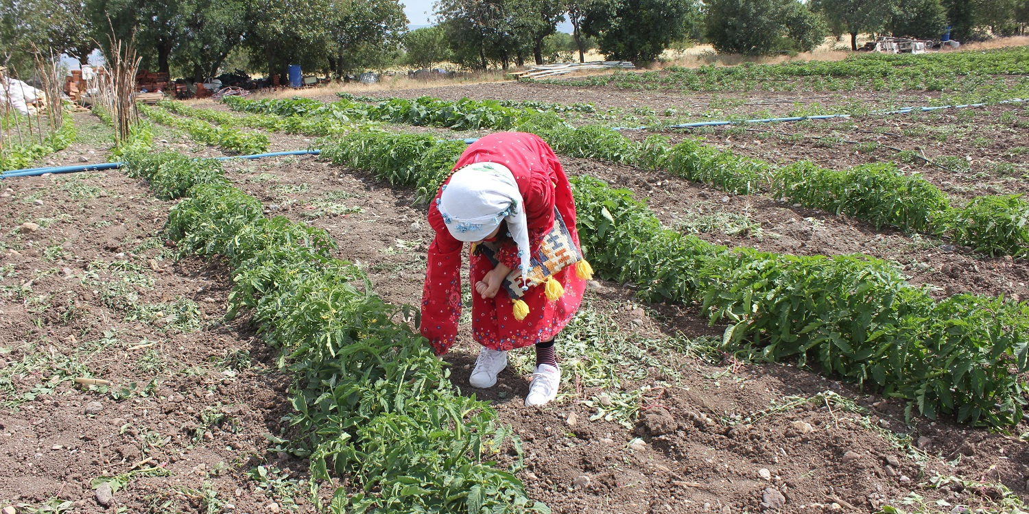 Köyde Bir Gün | Yaşayan Köy Açık Hava Müzesi 