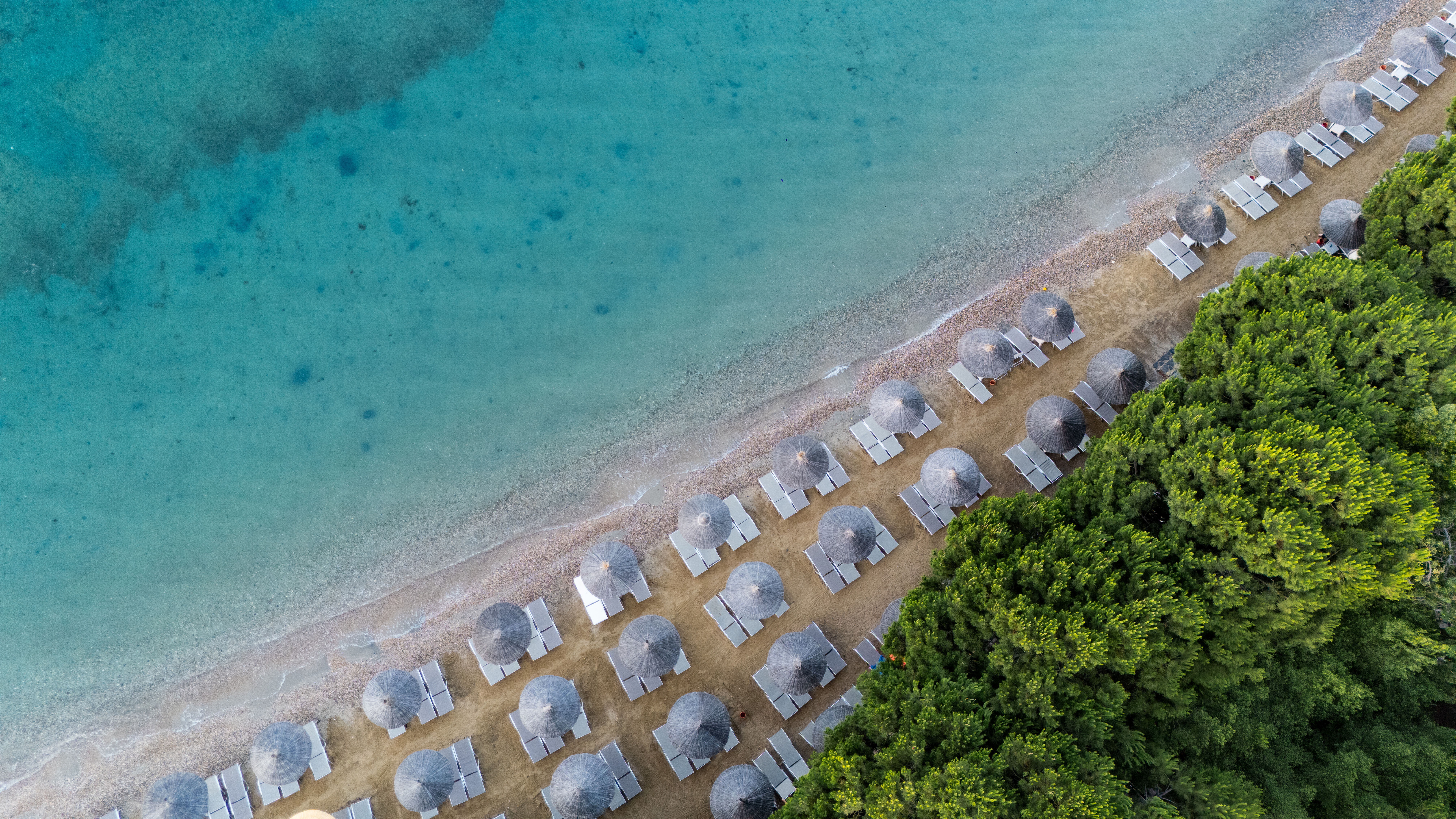 Pool & Beach | Yasmin Bodrum Resort Pool & Beach | Yasmin Bodrum Resort