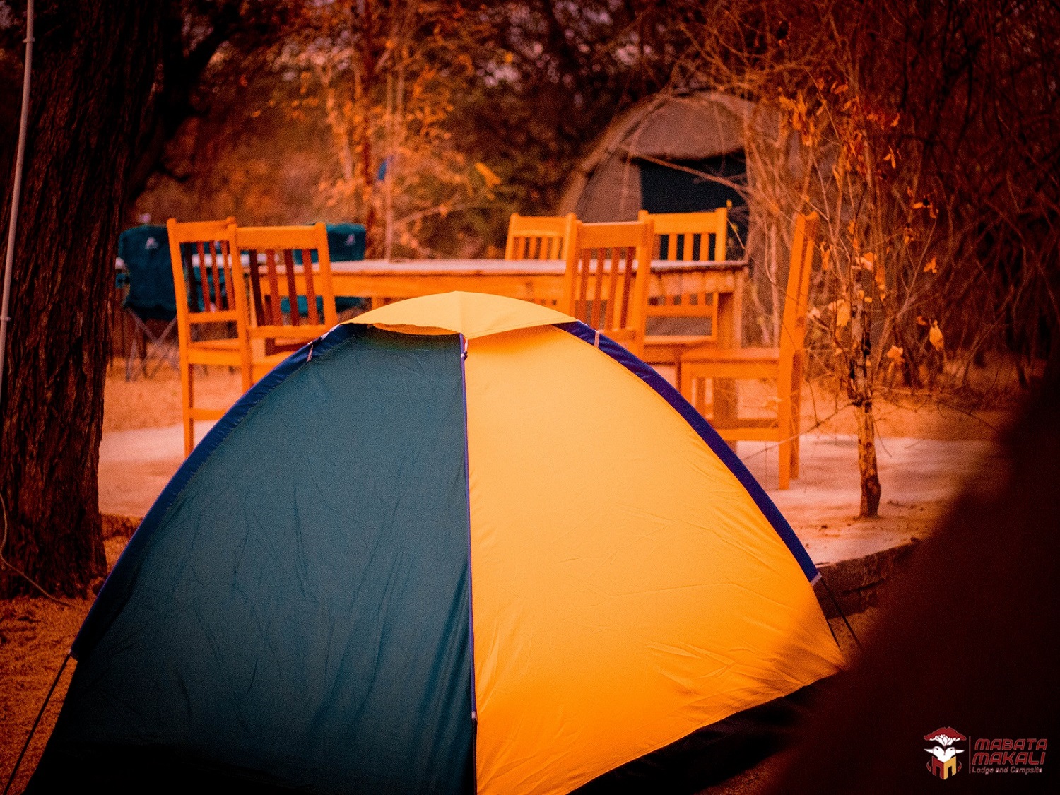 tent_(1)1.jpg