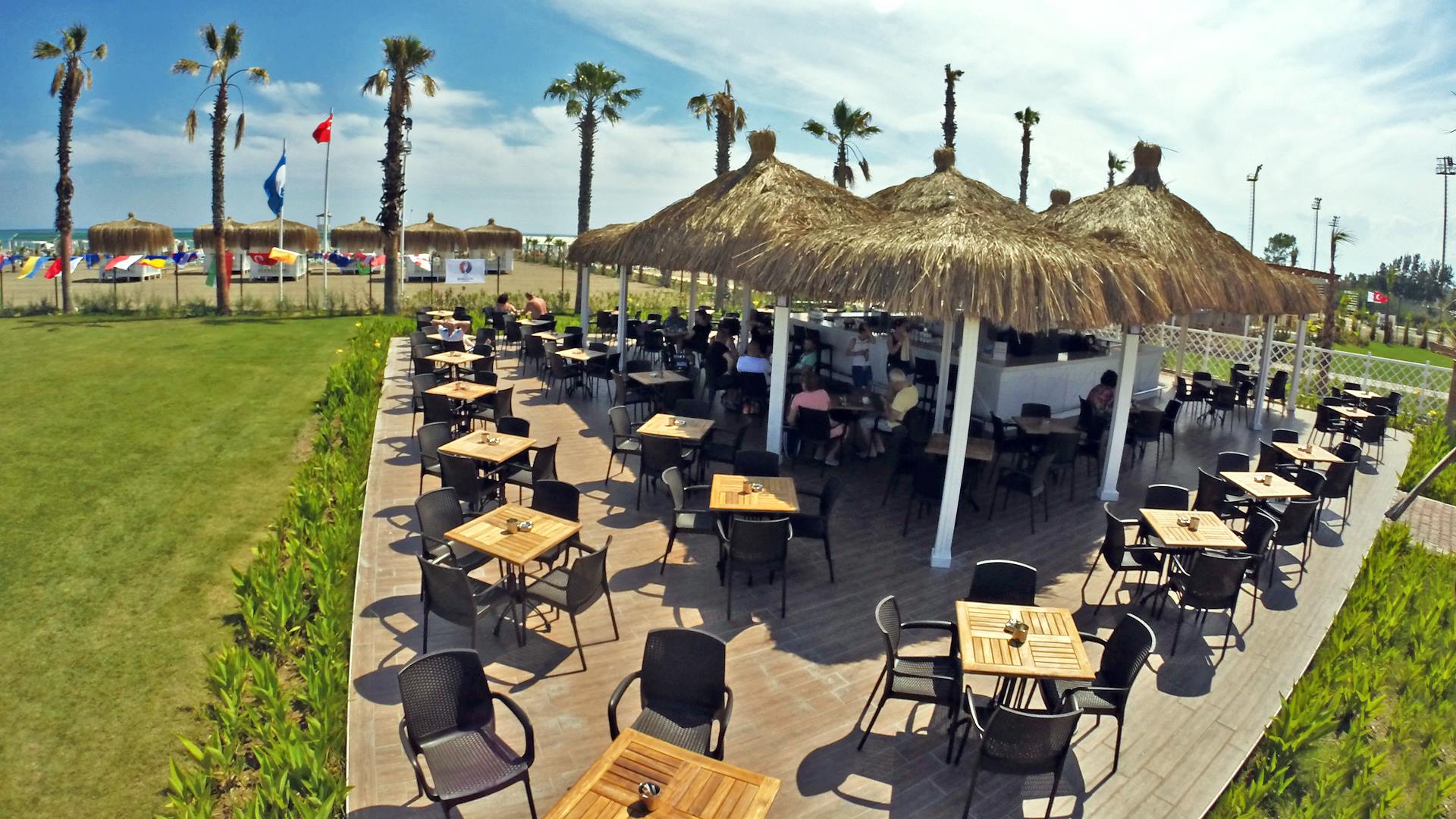 palm_bar1.jpg