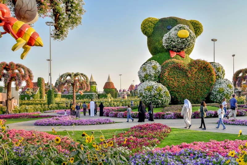 dubai_miracle_garden.jpg