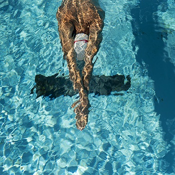 high-angle-male-swimmer-water-pool.jpg