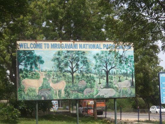mrugavani-national-park.jpg